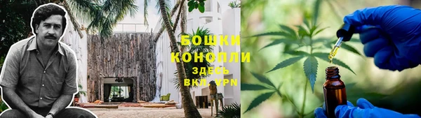 прущие крисы Новодвинск