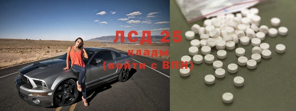 амф Новозыбков