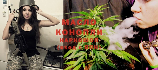 амф Новозыбков