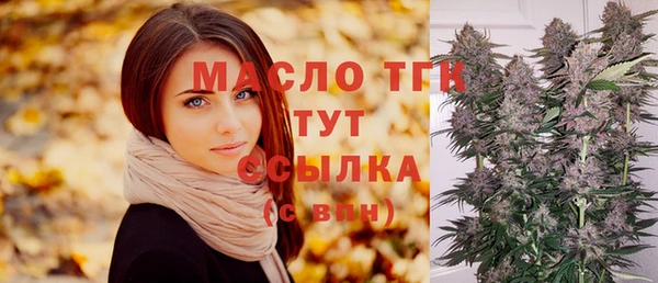 амф Новозыбков