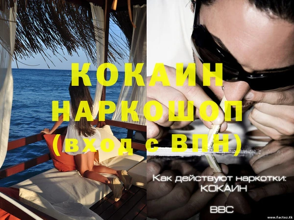 прущие крисы Новодвинск