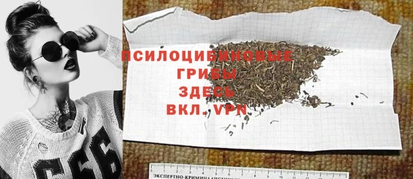 амф Новозыбков
