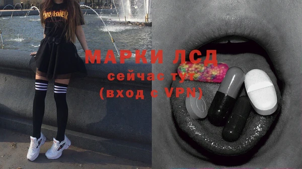 амф Новозыбков