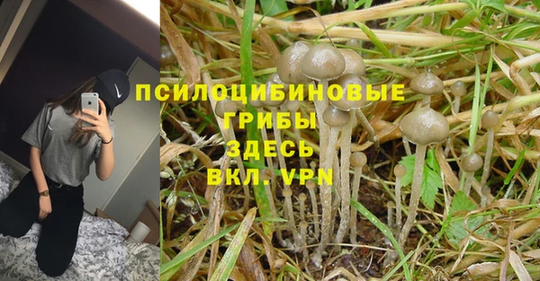 герыч Новокубанск
