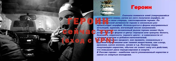 амф Новозыбков